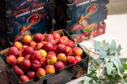250G Australia Wandin Valley Cherry Plum
