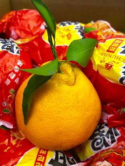 1 BOX CN BABA Mandarin 14s