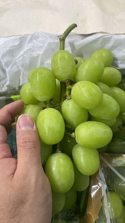 1KG PERU Autumn Crisp XL