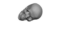 Skull Tyre Valve cap  