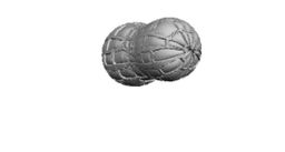 Peanut Tyre Valve cap  