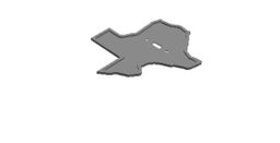 Texas Light Switch Cover  