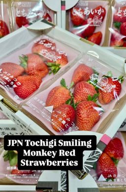 JAPAN TOCHIGI SMILING MONKEY STRAWBERRIES