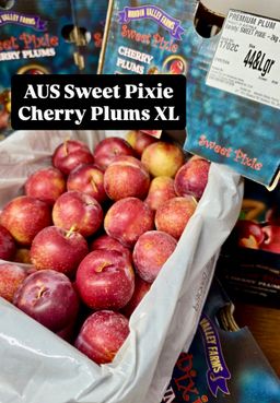 AUS SWEET PIXIE™️ CHERRY PLUMS XL