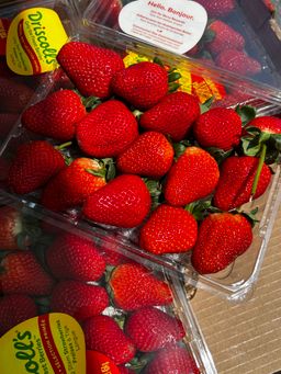 600G USA Driscoll Long Stem Jumbo Strawberry 