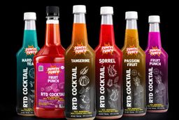 Punchy Punch RTD Cocktails