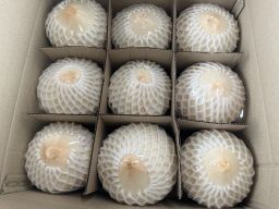 泰国高级椰子 THAI PREMIUM COCONUT ( 1箱9粒）