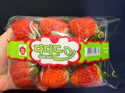 Korea Strawberry 