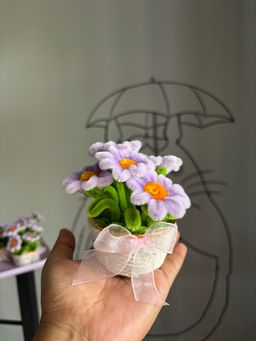 Purple mini daisy pot