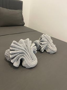 Tussenschoonmaak / Mid-Cleaning