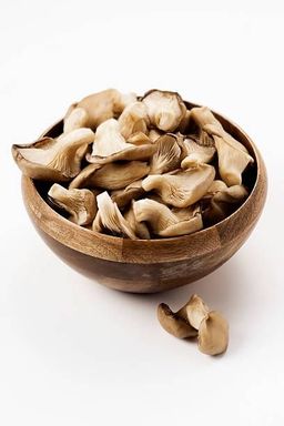 Hongos Ostra (Oyster)