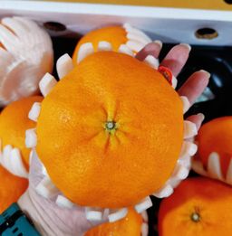 Jeju Red Hyang (Korean Mandarin 韩国柑)