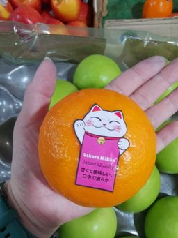 Sakura Mikan 2kg (樱花柑）