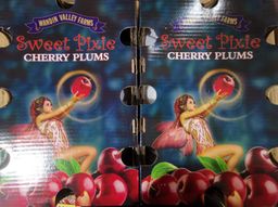 Australia Pixie Cherry Plums