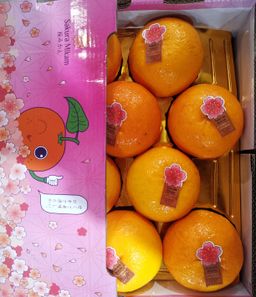 Sakura Mikan 5kg (樱花柑)