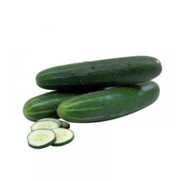 Pepino Ensalada (un)