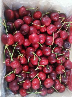 Chile Cherry