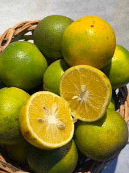 Cotonou Oranges (3pcs)