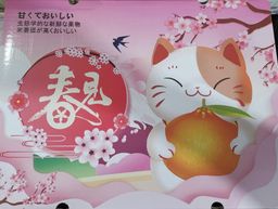 Chun Jian Papagan XXL (春见耙耙柑）