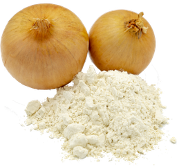 1000g| Zwiebel Pulver | بصل بودرة