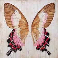 1498 BUTTERFLY WINGS 