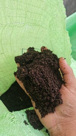 Vermicompost (ගැඩවිල් පොහොර)