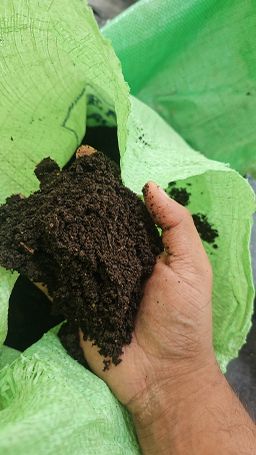 Vermicompost (ගැඩවිල් පොහොර)