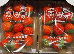 Koiminori Strawberry NAGASAKI 240g  🍓 (Limited Stock)
