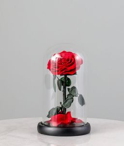 SINGLE LARGE LUXURIOUS ETERNAL ROSE