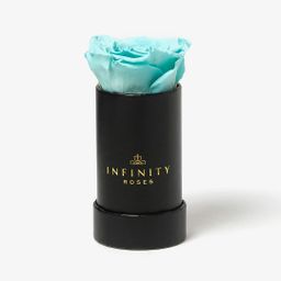 Single Mini tiffany eternal rose