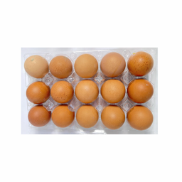 بيض احمر نصف طبقة 