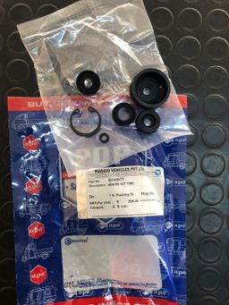 MINOR KIT 1009 NM TS 042977