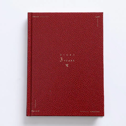 3 Years Diary