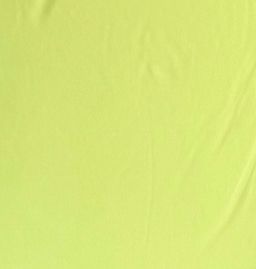 Hailey Fitted T-shirt 