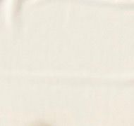 Hailey Fitted T-shirt 