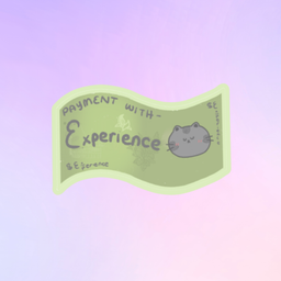 Payment with Experience LuLu