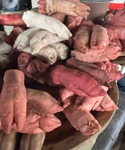 Pig feet (Nane)