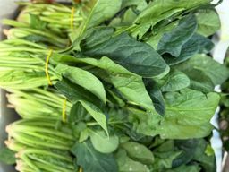سبانخ | Spinat