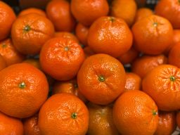 كرمنتينا كبيرة | Clementine