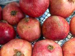 رمان حامض |  Granatapfel saur | 1ST