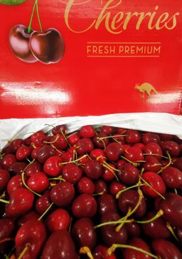 Tasmania Cherry (28+mm)