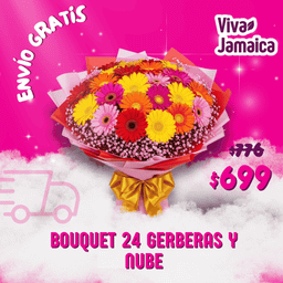 Bouquet 24 Gerberas y Nube