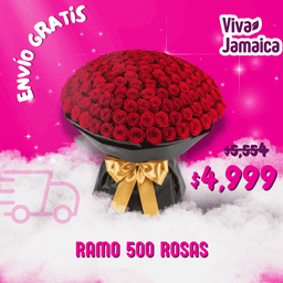 Ramo 500 Rosas