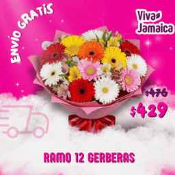 Ramo 12 Gerberas