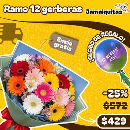 Ramo 12 Gerberas
