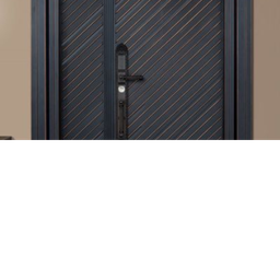 Premium Steel door