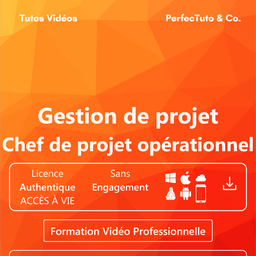 Gestion de projet : Chef de projet opérationnel