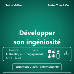 Développer son ingéniosité