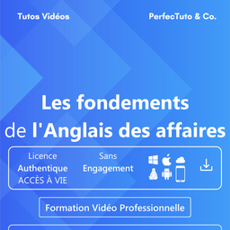 Les fondements de l'anglais des affaires : Déjouer les pièges de l’anglais