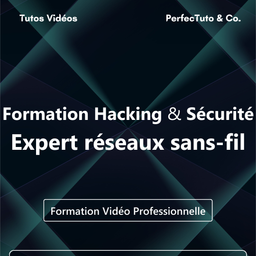 Formation Hacking et Sécurité : Expert réseaux sans-fil